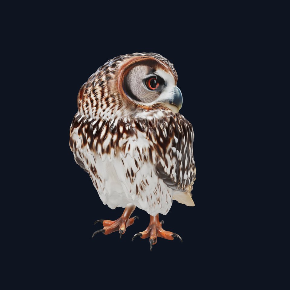 Spotted Owl Texture model pack